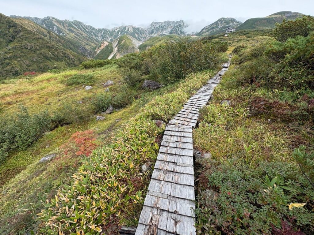 木道は永遠に