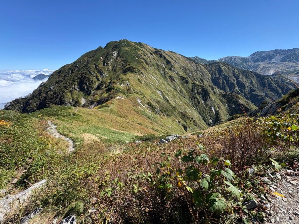 奥大日岳を振り返る