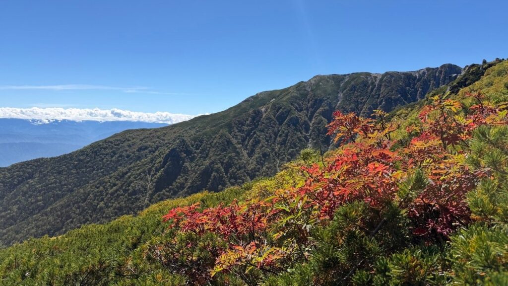 伊那前岳の尾根